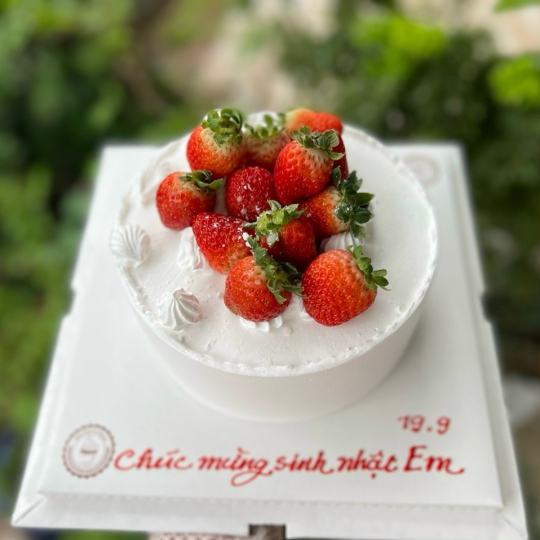 Bánh trái cây 03